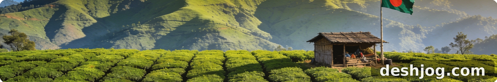 পঞ্চগড়