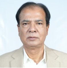 আসাদুল হাবিব দুলু