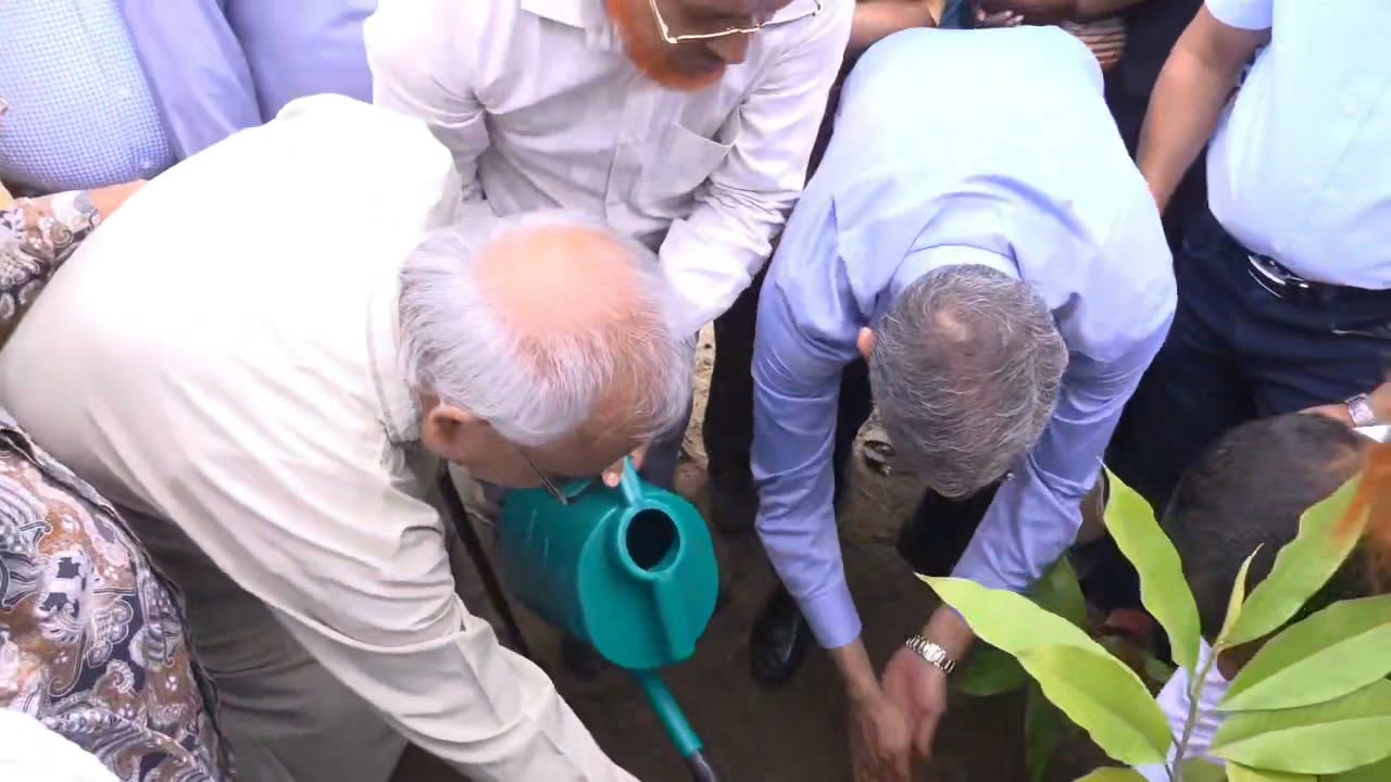 বিএনপির ৪৮তম প্রতিষ্ঠাবার্ষিকীতে বৃক্ষরোপণ কর্মসূচির উদ্বোধন