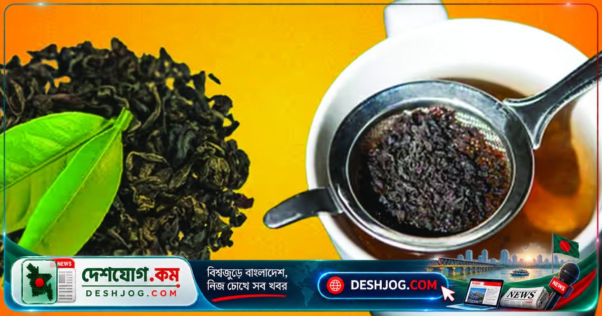 চা পাতা থেকে ১০টি অস্বাভাবিক উপকারিতা জানুন — রান্নাঘর থেকে ফ্রিজ পর্যন্ত সুগন্ধি ও পরিষ্কার রাখার গোপন টিপস!