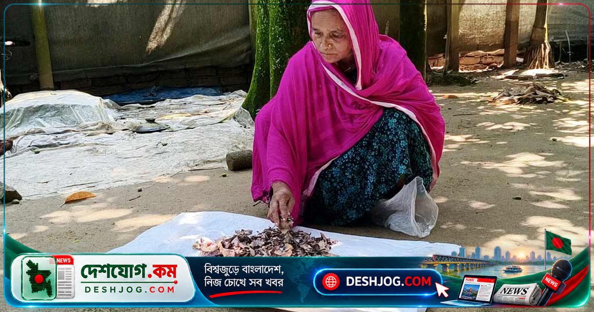১০ বছরের কষ্টের সঞ্চয় ঝাঁঝরা হয়ে গেল: জর্দার কৌটায় ২ লাখ টাকা নষ্ট