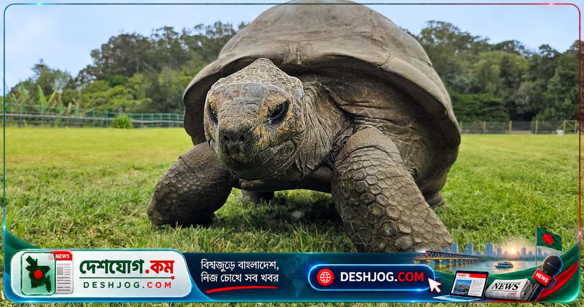 ১৯৪ বছর বয়সী কচ্ছপের জিন থেকে মানুষের দীর্ঘজীবনের রহস্য খুঁজে পেল বিজ্ঞানীরা