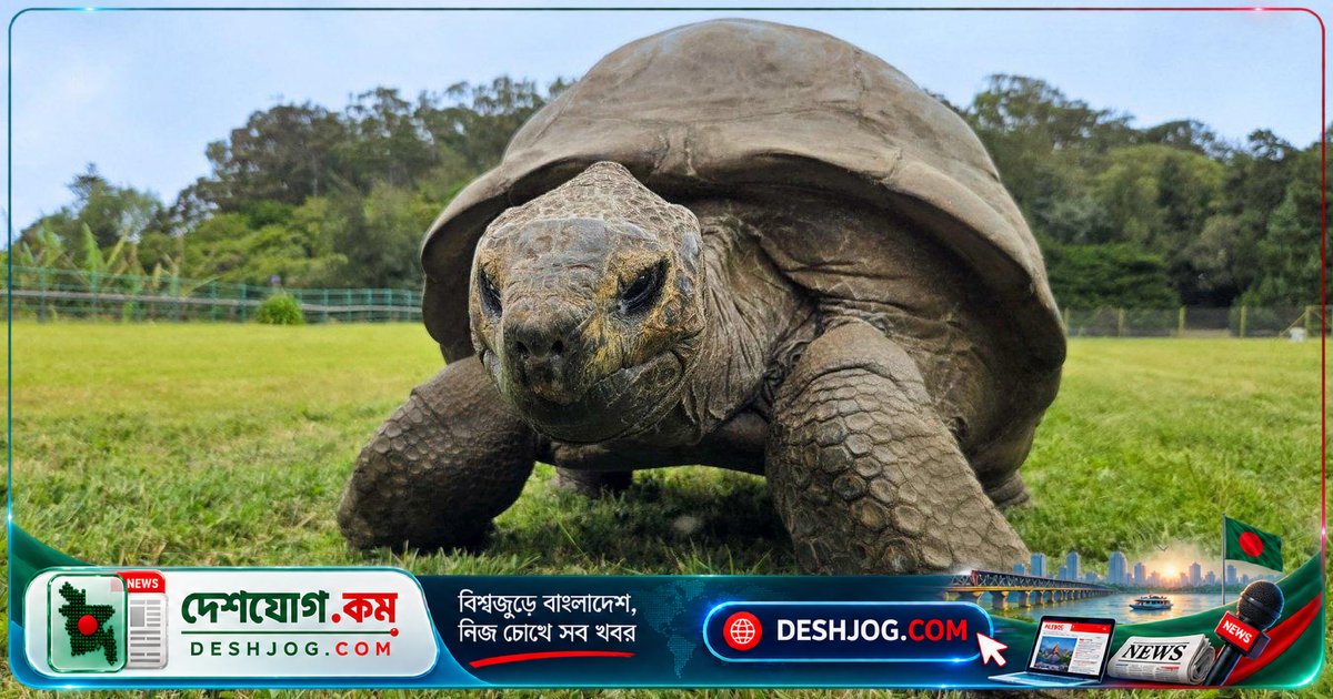১৯৪ বছর বয়সী কচ্ছপ জনাথনের শরীরে দীর্ঘায়ু রহস্য উন্মোচিত: বিজ্ঞানীরা মাইটোকন্ড্রিয়া ও ডিএনএ মেরামতের গবেষণা প্রকাশ