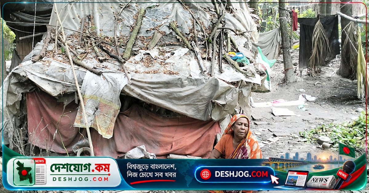 ২০ বছর ধরে পলিথিনের ঝুপড়িতে বসবাস: স্বজনহীন বিধবা সবুরার জীবনের শেষ আশ্রয় নিরাপদ ঘর