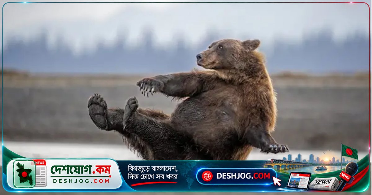 ২০২৬ সালের প্রাণীজগতের ১০টি মজাদার ছবি: ভালুক থেকে পেঁচা পর্যন্ত অবিশ্বাস্য মুহূর্ত