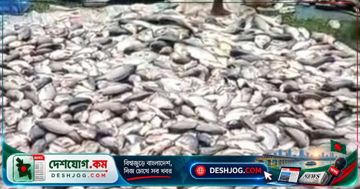 ৪০ বিঘা মাছখামারে মারা যাওয়া ৩৫-৪০ লাখ টাকার মাছ দেখে অসুস্থ খামারি সিলেট হাসপাতালে ভর্তি