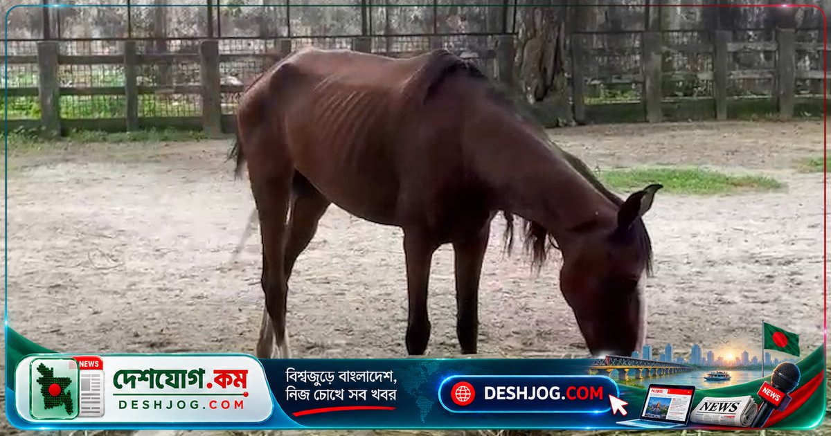 ৪০০০ বছরের ইতিহাসে মানুষের সঙ্গে ঘোড়ার অমিত বন্ধন: বিজ্ঞানীরা আবিষ্কার
