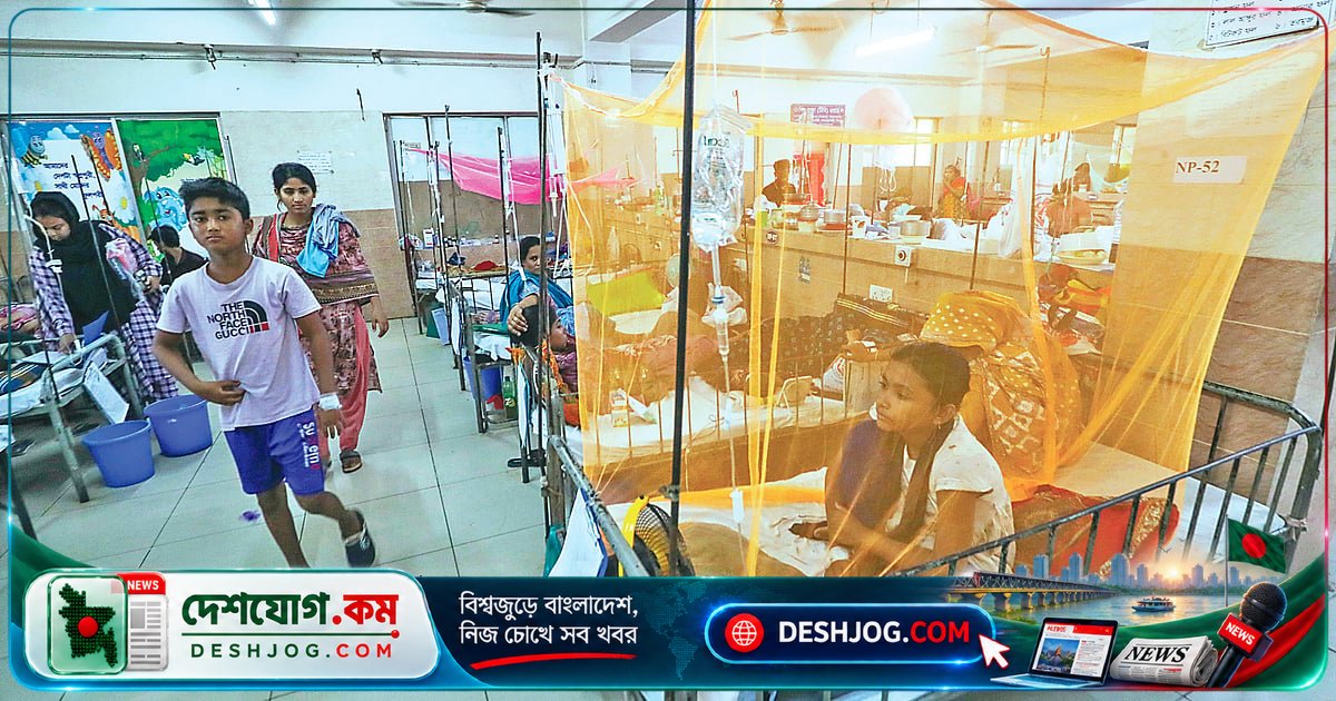৪৮ হাজার কমিটি কাগজে থাকলেও ডেঙ্গু প্রতিরোধে বাস্তবে কার্যকর নেই স্থানীয় সরকারের উদ্যোগ