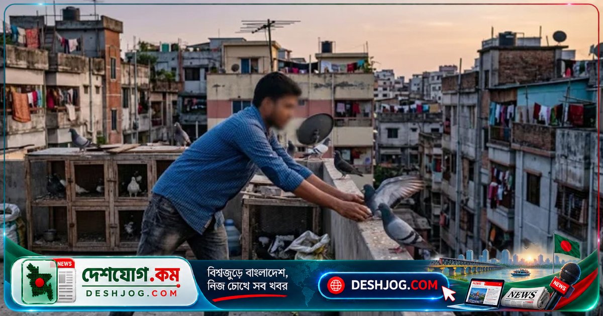 ৫ তলা থেকে পড়ে যুবক রোহিত মৃত্যু: ঢাকার বাসায় কবুতর ধরতে দুর্ঘটনা