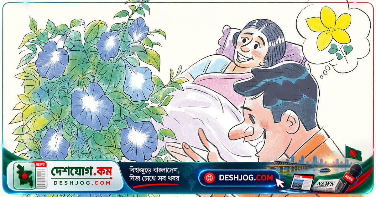 ৭৭ বছর বয়সে ডায়েরির ২৭ নম্বর পাতায় ফিরে গেল ২৬ বছর আগের প্রেমের স্মৃতি