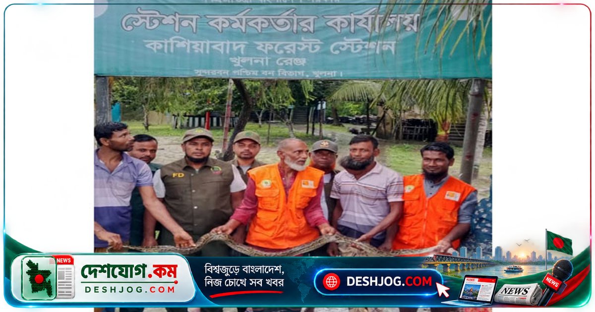 ৮ ফুটের অজগর উদ্ধার: খুলনার গ্রামে সাপের অদ্ভুত সফর থেকে সুন্দরবনে অবমুক্ত