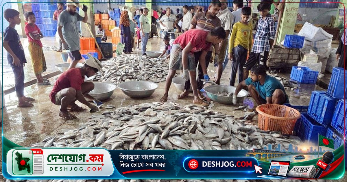 ৮ মাসের নিষেধাজ্ঞায় জাটকা ইলিশ আহরণ বন্ধ, মা ইলিশ সংরক্ষণে নিশ্চিত করা হবে টেকসই উৎপাদন