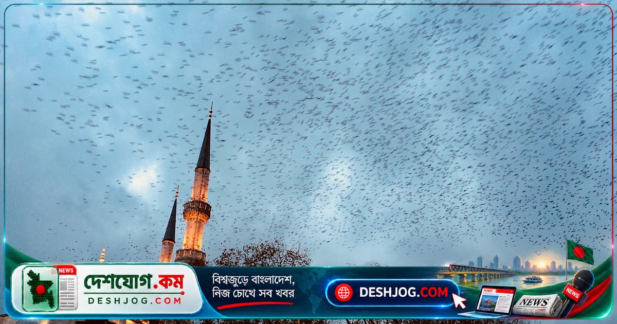 আবু বকর সিদ্দিক কেন ওমর ইবনুল খাত্তাবকে বেছে নিয়েছিলেন পরবর্তী খলিফা হিসেবে?