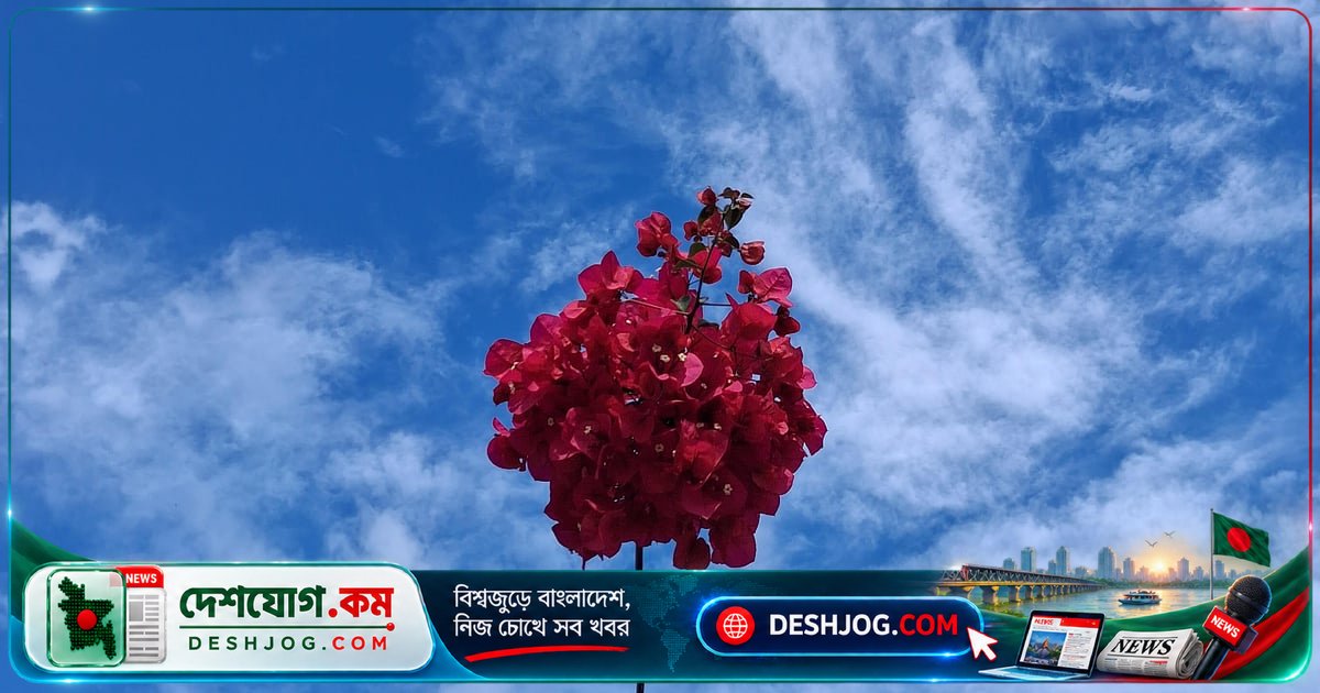অচিনপুরের রাতের গভীরে মানুষের পাণ্ডুলিপি পুড়ে যাচ্ছে শূন্য জাগরণে