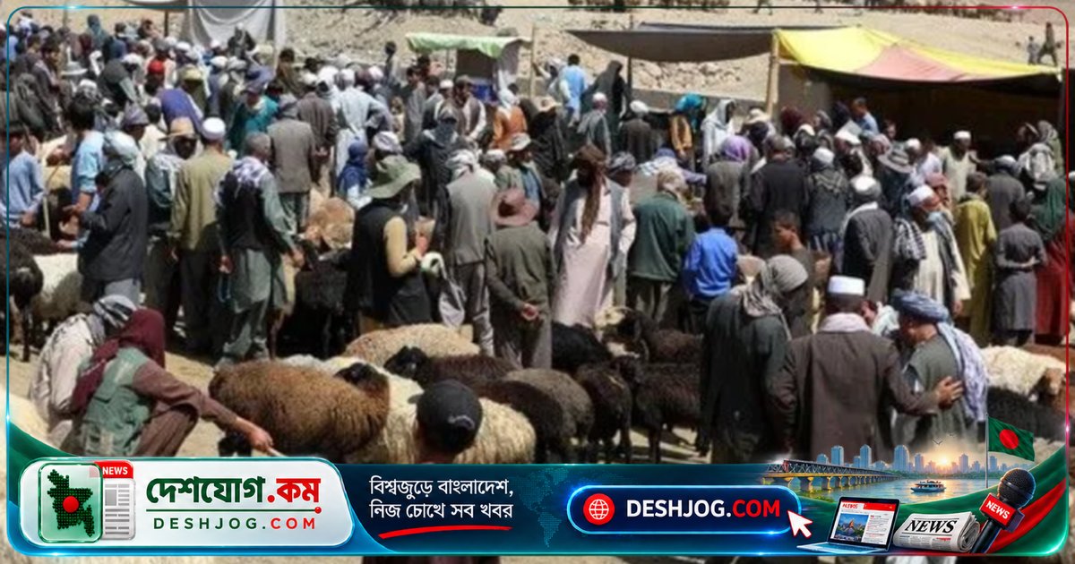 আফগানিস্তানে শীতকালে ১৯২ লাখেরও বেশি মানুষের খাদ্য সংকট: জাতিসংঘের সতর্কবার্তা