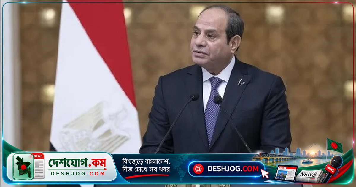 আফ্রিকার শান্তি ও উন্নয়নে সিসির মিশর থেকে আহ্বান: বেসরকারি খাতের ভূমিকা ও সংঘাতের শান্তিপূর্ণ সমাধান
