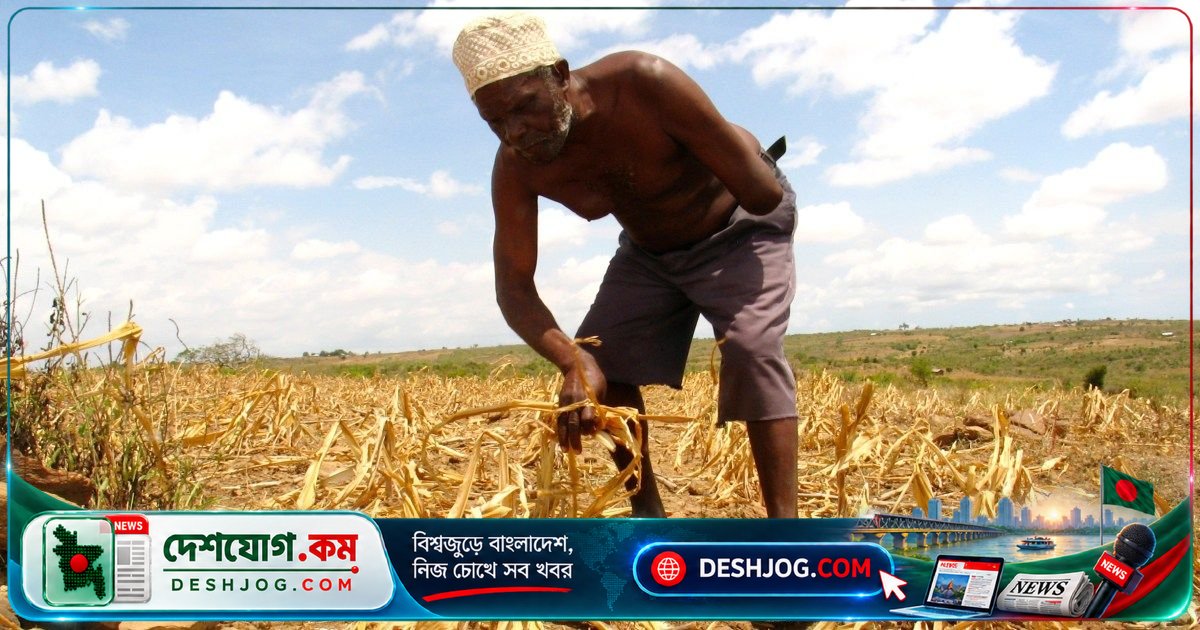 আফ্রিকার সবুজ বিপ্লবের পিছনে লুকিয়ে আছে ঐতিহ্যবাহী খাদ্যের বিপদ: গবেষণা প্রকাশ
