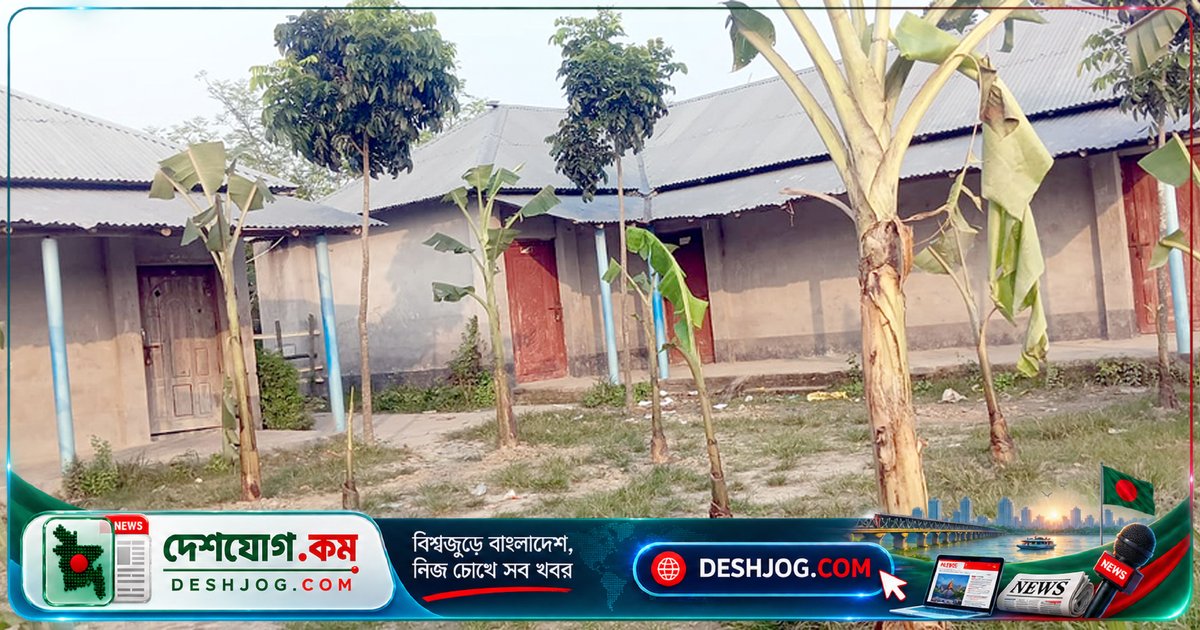 জমিদাতা আজাদ আলী: স্কুলে তালা ও কলাগাছের পেছনে কী দাবি?