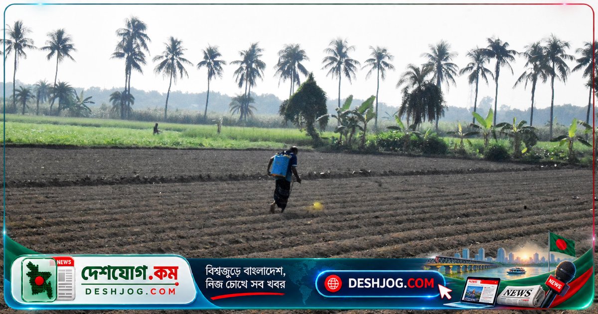 রাজশাহীর পবা উপজেলায় একই জমিতে আখ ও পেঁয়াজ চাষে বালাইনাশক স্প্রে করছেন কৃষক