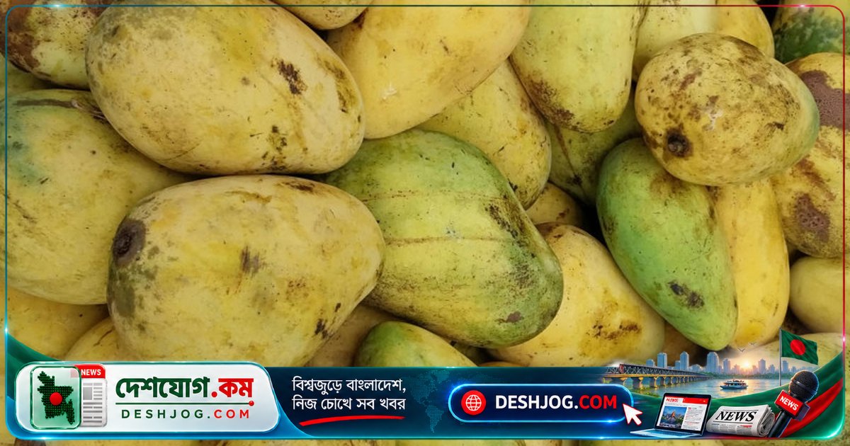আখাউড়া বাজারে অসময়ে আমের ভিড়: কাটিমন থেকে বারি-১১ জাতের ১৬০-১৭০ টাকায় বিক্রি