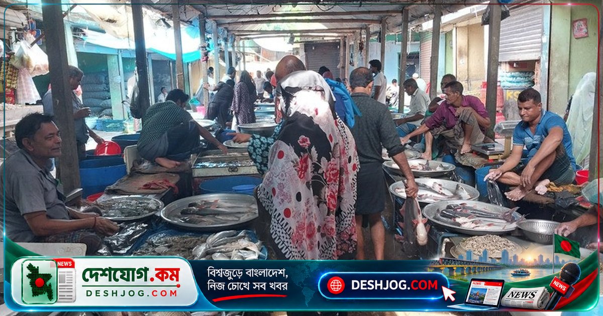 ব্রাহ্মণবাড়িয়া আখাউড়ায় দেশি মাছের অস্তিত্ব হুমকির মুখে: চাষের মাছের দামে সাধারণ মানুষের পছন্দ বদলে যাচ্ছে