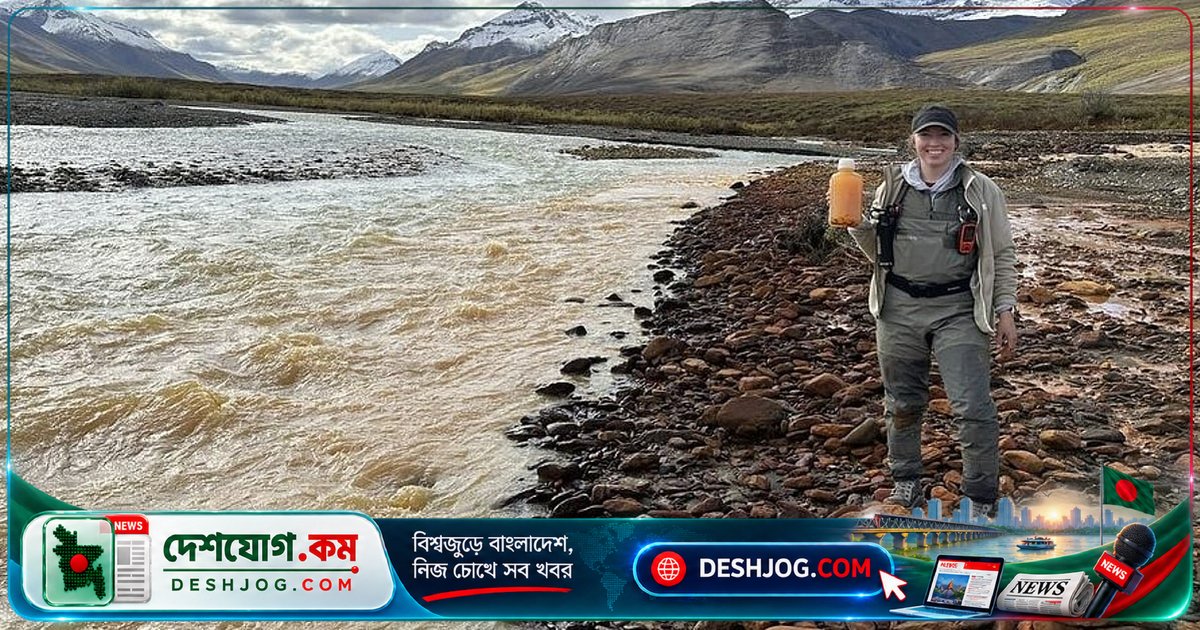বৈশ্বিক উষ্ণতা থেকে মরিচার রঙের নদী: আলাস্কার নদীর পানিতে বিষাক্ত ধাতু ৭০ গুণ বেড়েছে