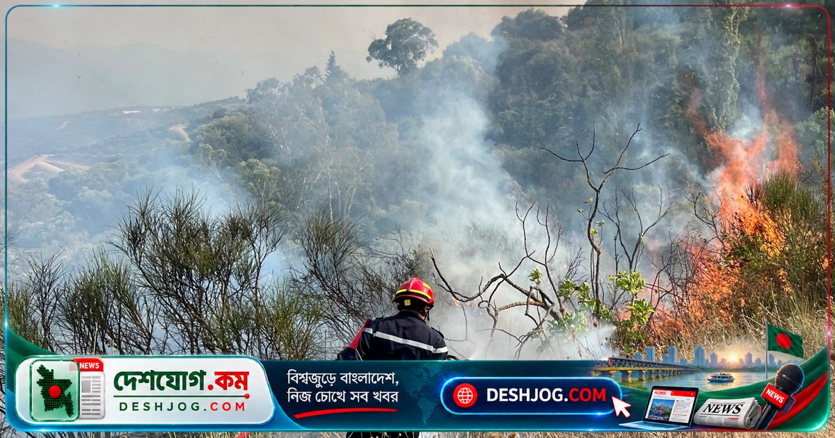 আলজেরিয়ায় বনজ্বলনকারীকে মৃত্যুদণ্ডের বিধান পাস: সংসদে অনুমোদিত নতুন আইন