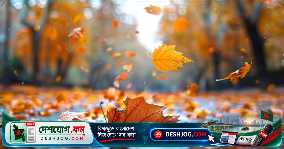 আল্লাহর চারটি জিকিরে গুনাহ মাফের রহস্যময় উপায়: হাদিসের আলোকে বুঝুন কীভাবে পাতার মতো ঝরে পড়ে পাপ