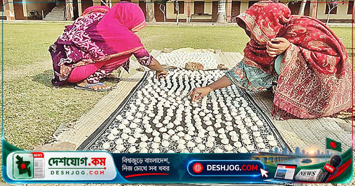 গহিন চরের 'বীজ বুড়ি' আলতাবুরা: দুর্যোগে কৃষিকে রক্ষা করে নারীর সংরক্ষিত বীজের গোপন কৌশল