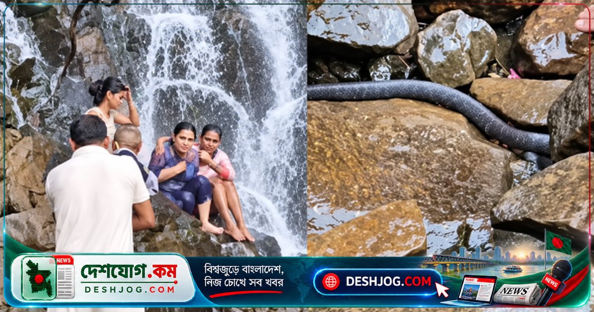 আম্বোলি জলপ্রপাতে সাপের আঘাত: পর্যটকের কাঁধে পড়ল বড় সাপ, ভিডিওতে দেখা যায়