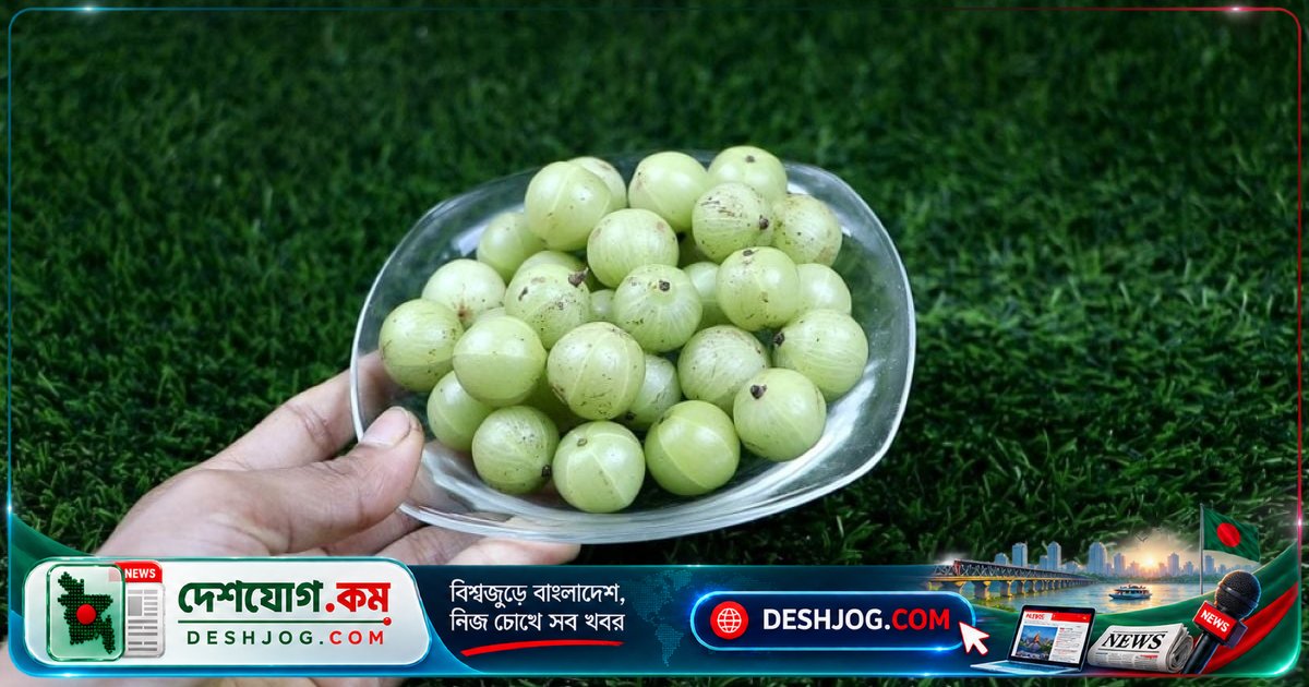 ডায়াবেটিস নিয়ন্ত্রণে আমলকীর অদ্বিতীয় ভূমিকা: কীভাবে কাজ করে এবং কীভাবে খেতে হয়?