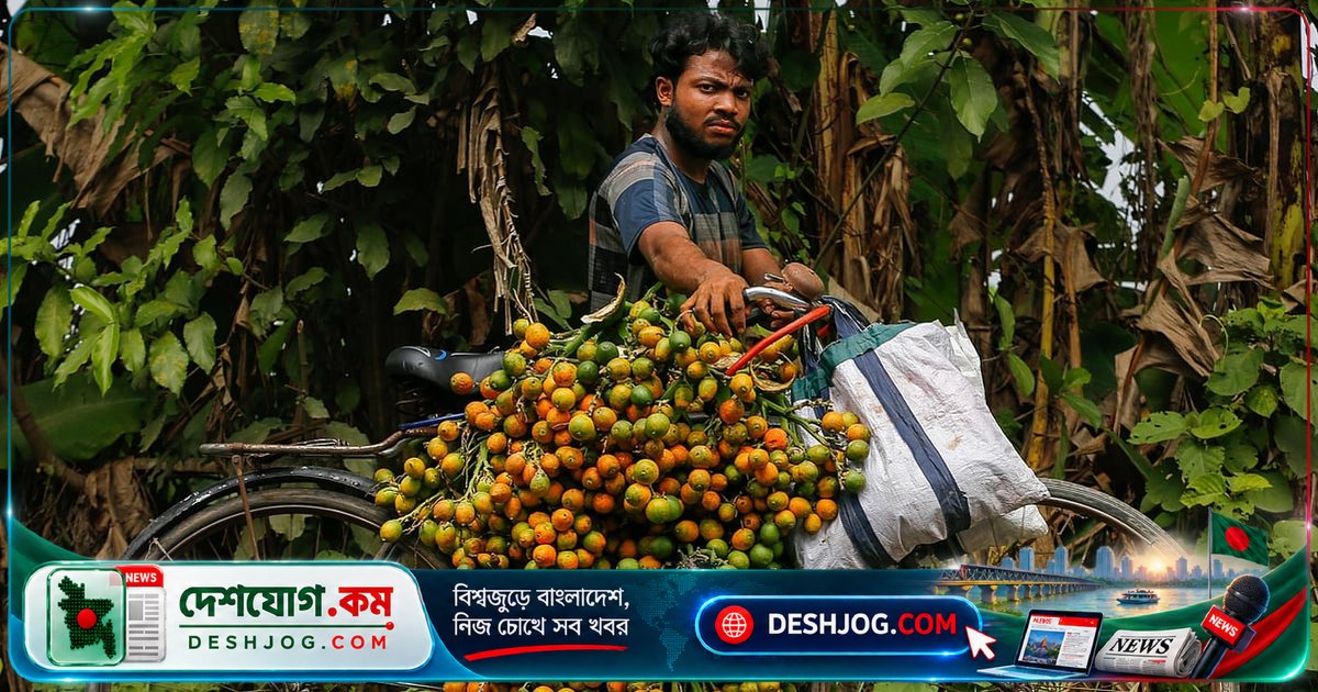 বরফ যুগের দাঁত থেকে প্রমাণিত: ২৫ হাজার বছর আগে দক্ষিণ-পূর্ব এশিয়ার মানুষ সুপারি খেত
