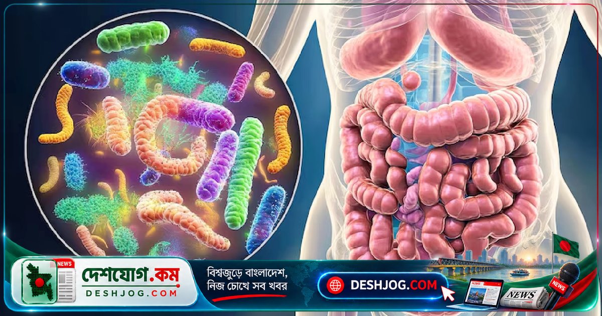 অ্যান্টিবায়োটিক চিকিৎসায় চিনিযুক্ত খাবার গ্রহণে অন্ত্রের মাইক্রোবায়োমের বৈচিত্র্য কমে ২৪ শতাংশ: গবেষণা