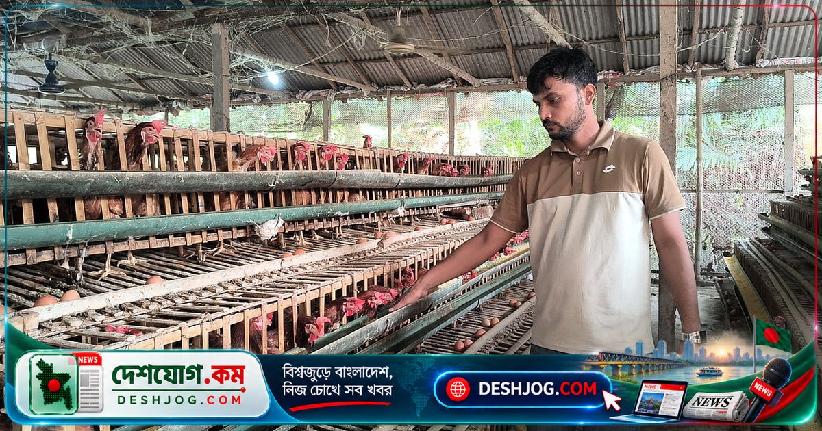 কুড়িগ্রামের গ্রামীণ যুবক আরিফুলের খামার থেকে মাসে ২ লাখ টাকা আয়, বাঁধাধরা চাকরি ছেড়ে শুরু করেছিলেন এই সফর