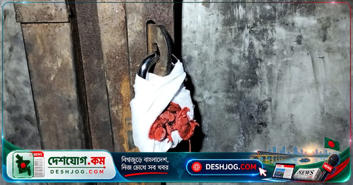 আশুলিয়ায় অবৈধ কারখানা সিলগালা: নির্বাহী ম্যাজিস্ট্রেটের নেতৃত্বে অভিযান