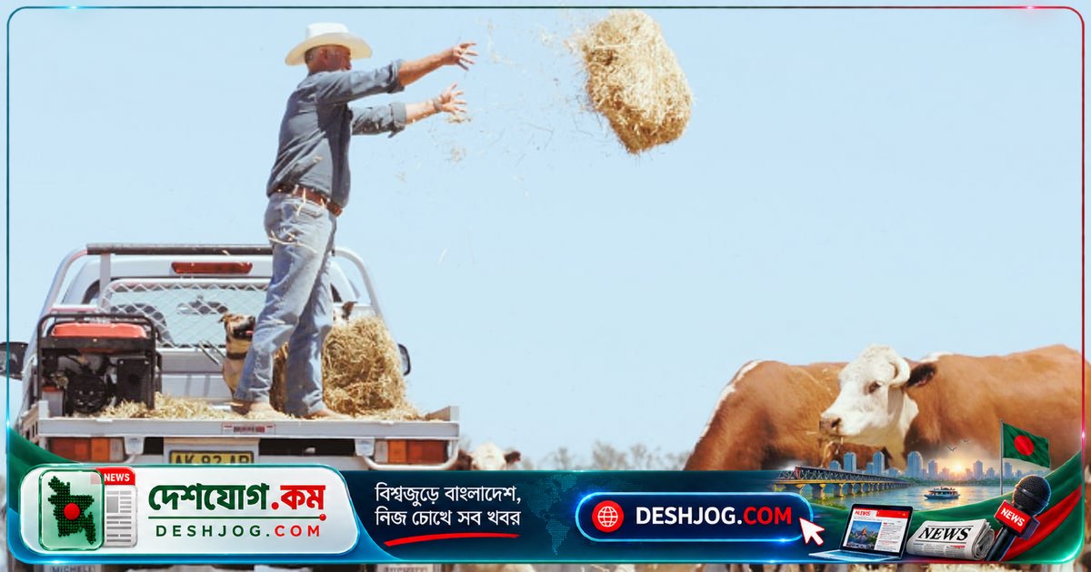অস্ট্রেলিয়া কৃষি ভিসা প্রতারণা: ঢাকা-চট্টগ্রামে দালালের লাখ টাকার ফাঁদ