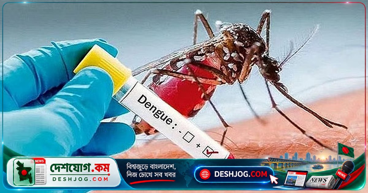 অস্ট্রেলিয়ায় ডেঙ্গু টিকা পাওয়ায় বাংলাদেশি প্রবাসীদের স্বস্তি, শিশুদের জন্য বিশেষ সুবিধা
