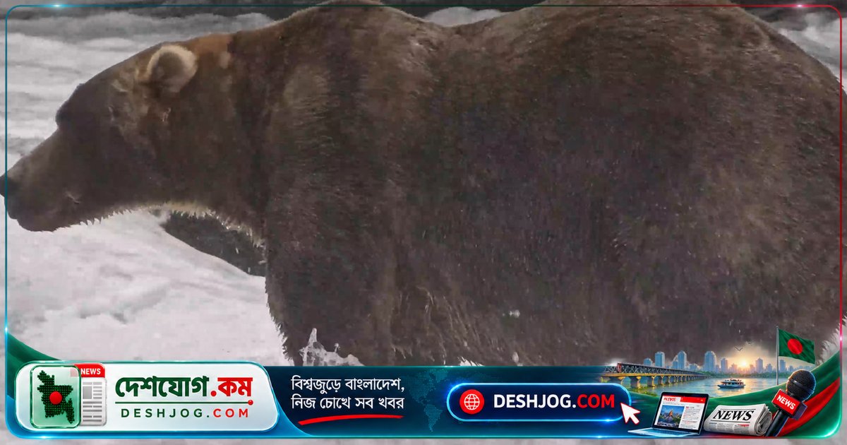 আলাস্কার ‘ফ্যাট বিয়ার উইক’-এ জিতেছে শান্তিময় বড়ো মেদবাহু ‘ব্যাকপ্যাক’