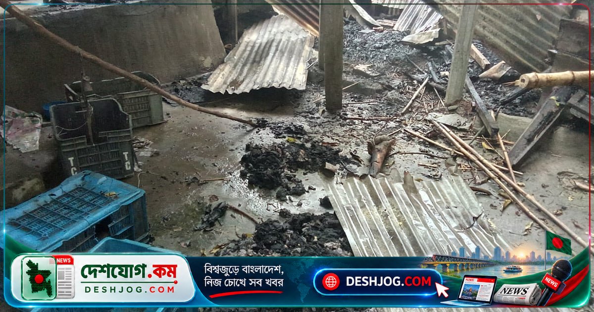 রাজশাহীর বাঘায় বিবাহবহির্ভূত সম্পর্কের অভিযোগে মারধর ও বাড়ি জ্বালিয়ে দেওয়া: পুলিশের সতর্কতা