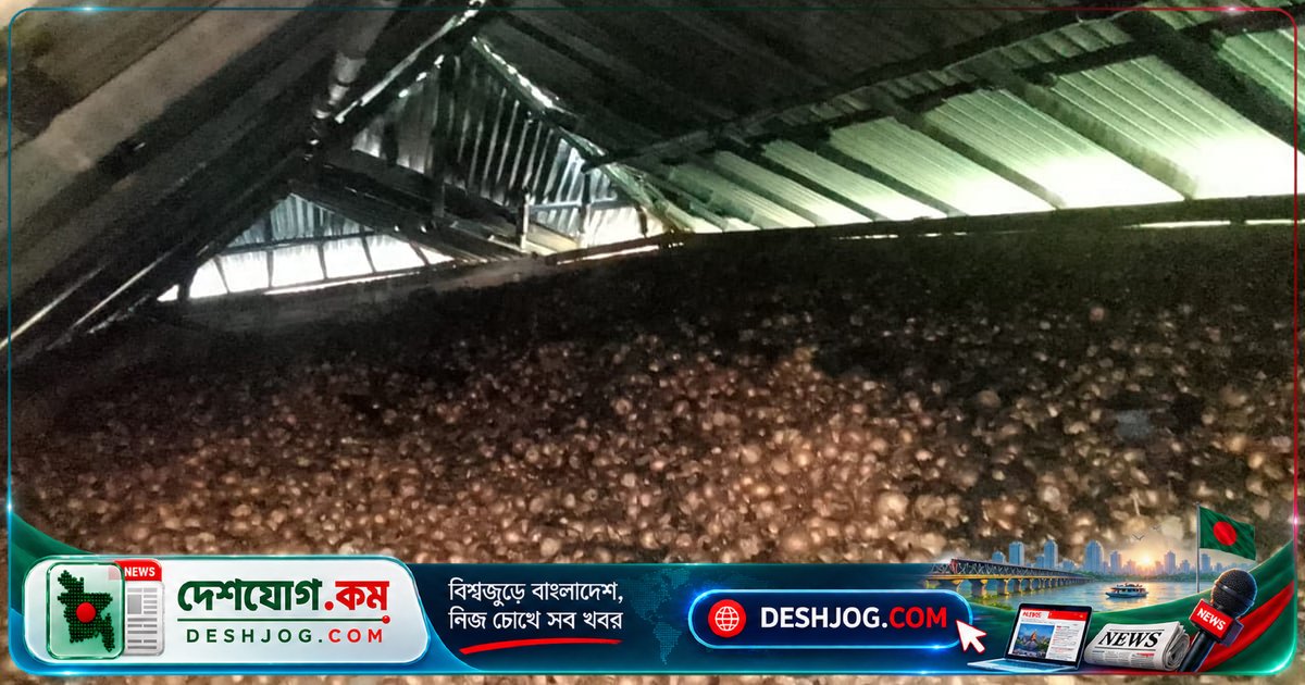রাজশাহীর বাগমারা: বিদ্যুতের শর্টসার্কিটে আগুনে পুড়ে গেল কৃষকের বাড়ি, ১০-১১ লাখ টাকা ক্ষতি
