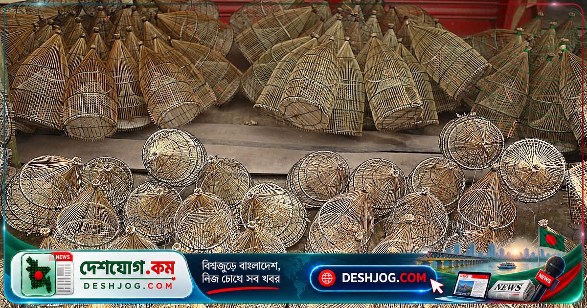 বাঁশের অজানা শক্তি: জলবায়ু সংকটে কীভাবে দাঁড়াতে পারে এই গাছ?