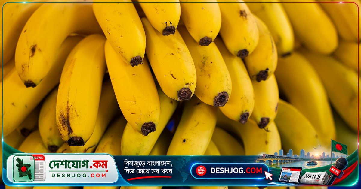প্রজননপ্রযুক্তির নতুন অগ্রগতি: ক্যাভেন্ডিশ কলা বাঁচাতে গবেষকদের উদ্যোগ