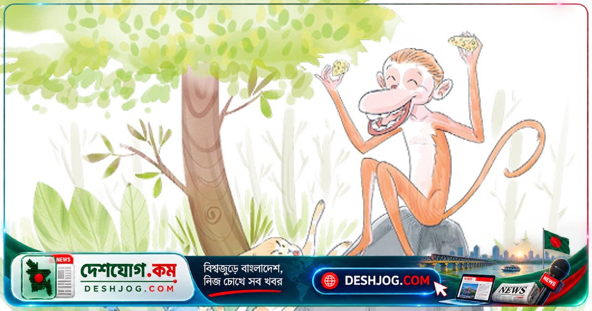 পনিরের ভাগ-বাঁটোয়া থেকে বানরের ফন্দি: কীভাবে দুটি বিড়ালের জীবন জটিল হয়ে ওঠে