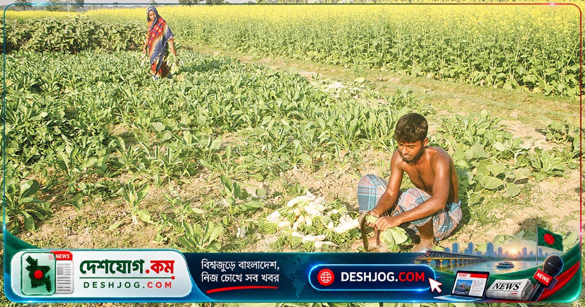 বাংলার প্রান্তিক শ্রেণির দুঃখ কে বুঝে? নীরবতা ছড়িয়ে পড়েছে গ্রাম থেকে শহর পর্যন্ত