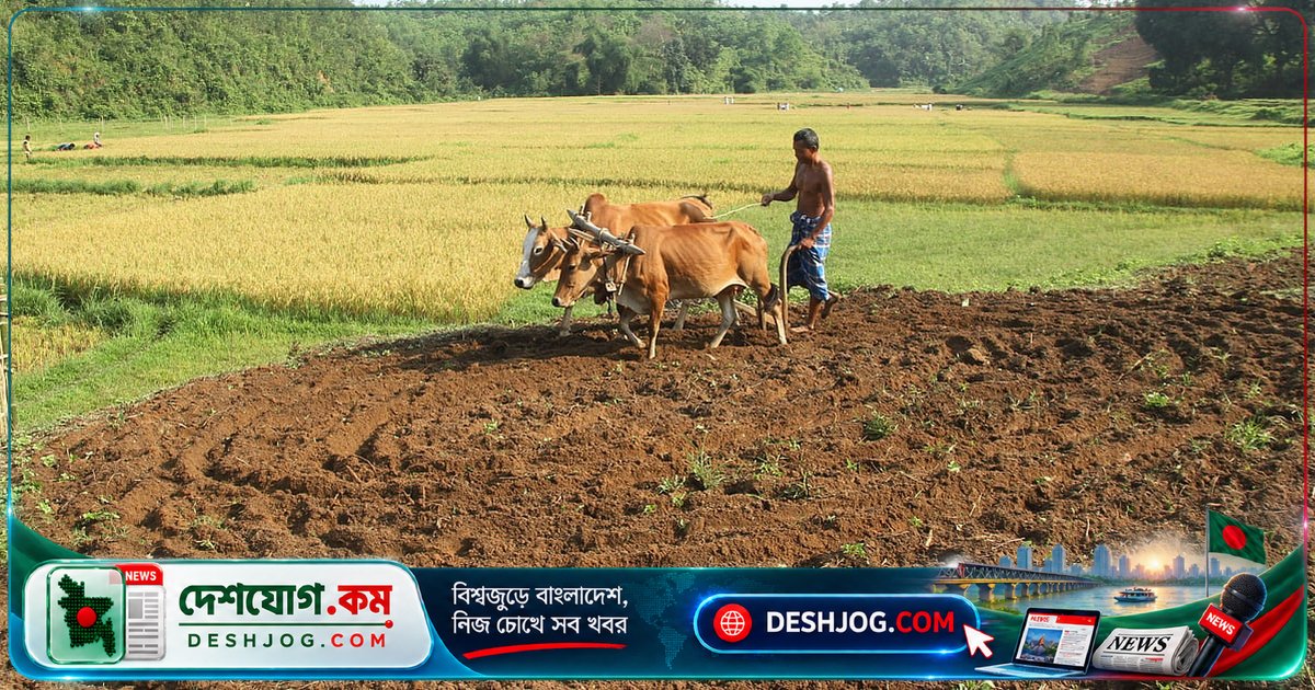 বাংলার ষড়ঋতু হারিয়ে যাচ্ছে: জলবায়ু পরিবর্তন কৃষি ও জীবনযাত্রাকে কীভাবে বদলে দিচ্ছে?