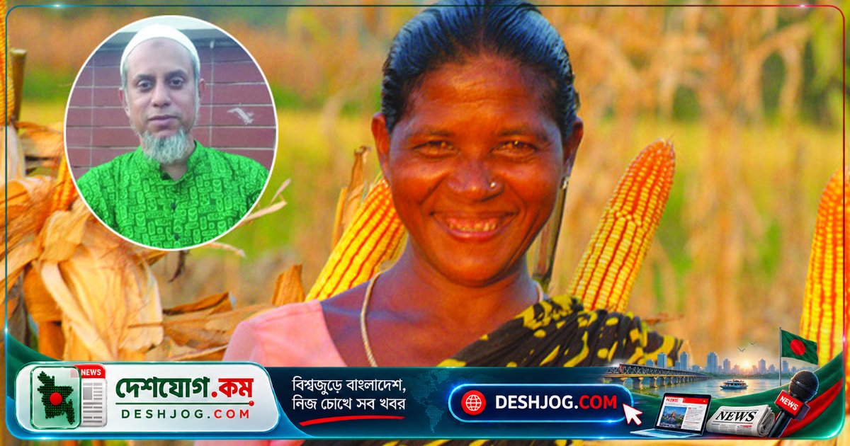 বাংলাদেশের ভুট্টা উৎপাদন: বিশ্বের শীর্ষে এগিয়ে, ৪০% বেড়েছে উৎপাদন