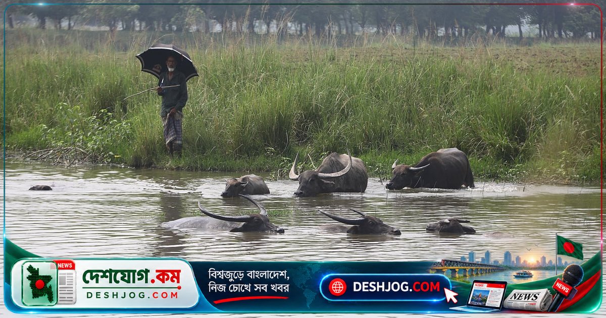 ৬ অক্টোবর বাংলাদেশের বিভিন্ন অঞ্চলের জীবনচিত্র: রূপপুর পারমাণবিক প্রকল্প থেকে গ্রামীণ জীবনযাপন
