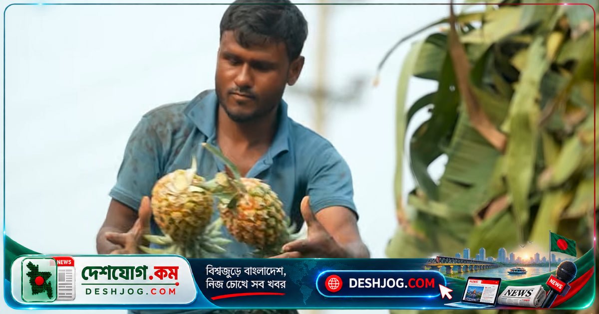 হরমুজ সংকটে রাসায়নিক সার সংকটে জৈব বিকল্পের দিকে ঝুঁকে বাংলাদেশের কৃষকরা