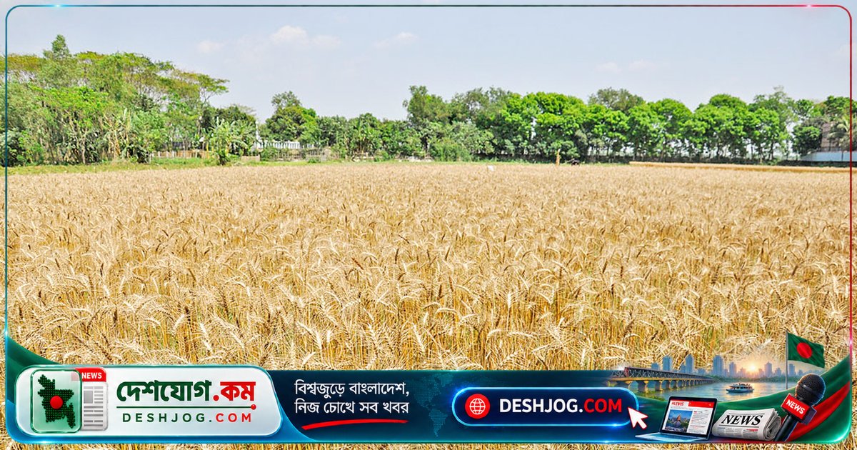 খাদ্যসঙ্কট মোকাবিলায় বাংলাদেশের সামনে কী চ্যালেঞ্জ? বিশ্বব্যাংক ও আইএমএফের সতর্ক বার্তা