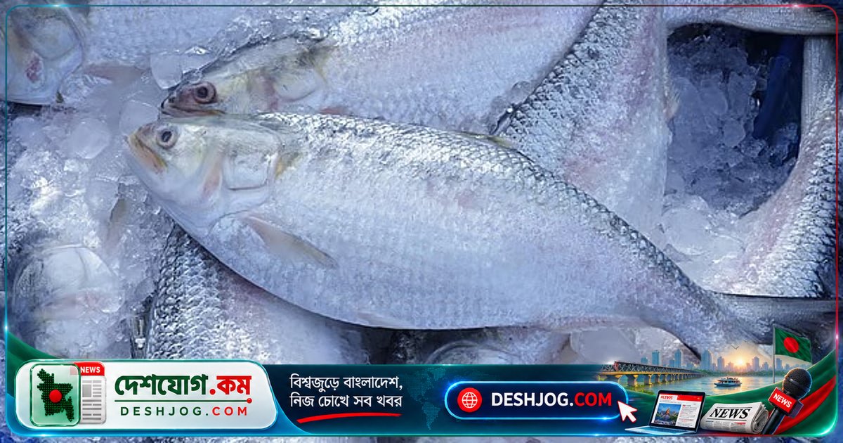 দুর্গাপূজা উপলক্ষে ভারতের ব্যবসায়ীরা চায় বাংলাদেশের ইলিশ রপ্তানির দীর্ঘমেয়াদি অনুমতি